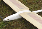 Krkavec F5J
